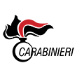 arma-dei-carabinieri-logo-png-transparent
